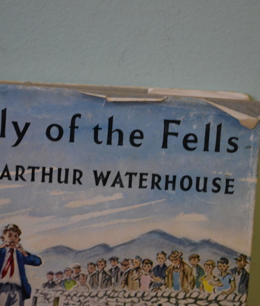 Arthur Waterhouse "Fly of the fells" dog story First edition 1957 Old book