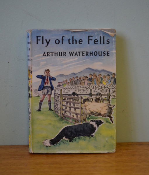 book Fly of the fells