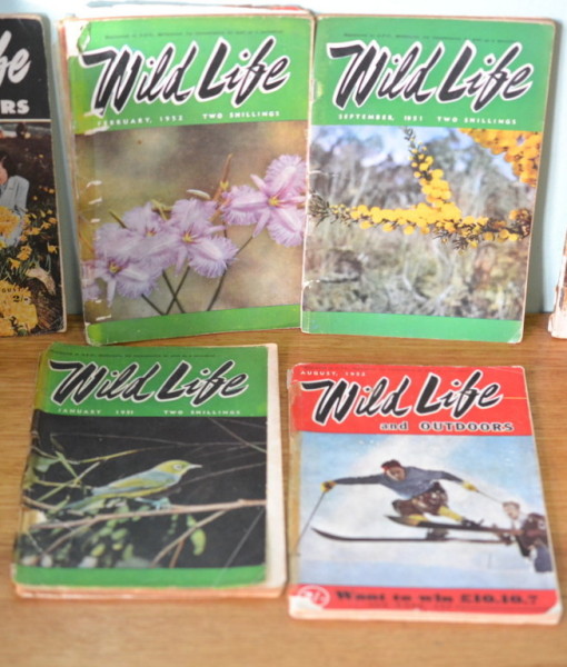 Vintage  Books  Wild Life magazines 1950s
