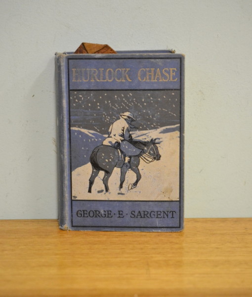 Vintage  Book Hurlock Chase George e Sargent