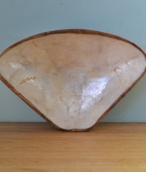 Vintage  mother of pearl nibble bowl