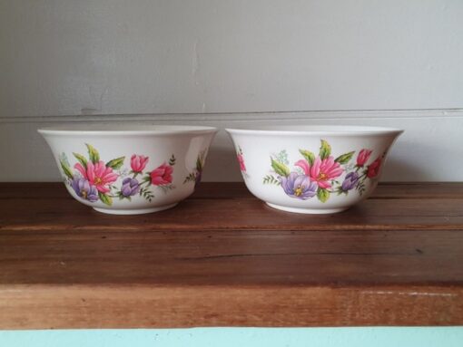 Vintage Tollo melamine plastic bowls plates picnicware x 2 Pit1