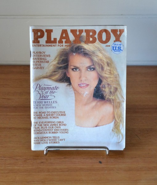Vintage Playboy July 1981 USA