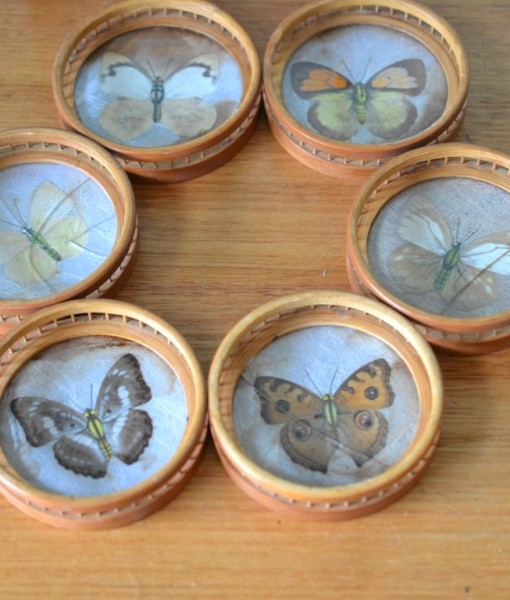 Vintage butterfly coasters and caddy wooden