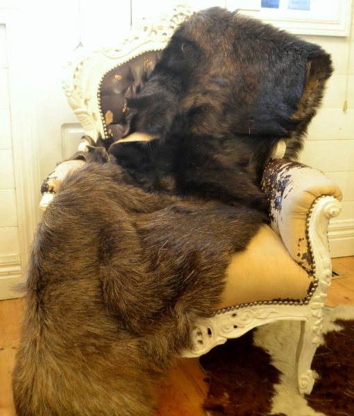 vintage fur pelt