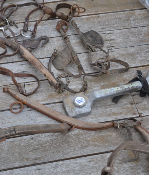 Vintage  Leather pony/horse  bridle and parts group lot