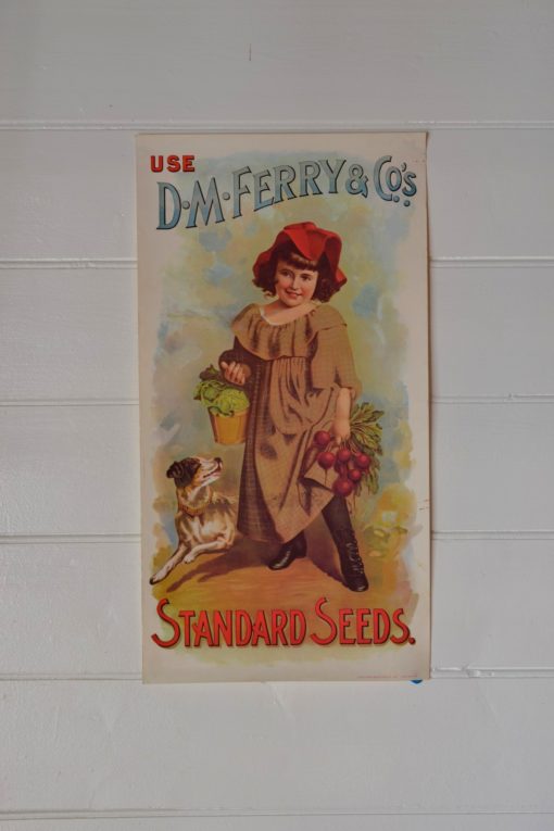 Vintage poster Use D.M Ferry & Co standard seeds 1964 advertising