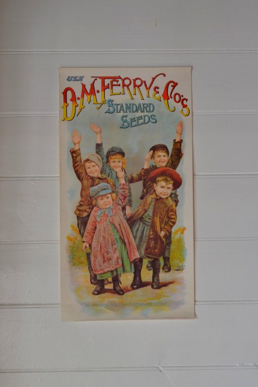 Vintage poster Litho print Use D.M Ferry & Co standard seeds 1964 advertising  advert